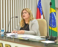 Asfalto para a esperança: Câmara aprova pedido de pavimentação em Boa Vontade.