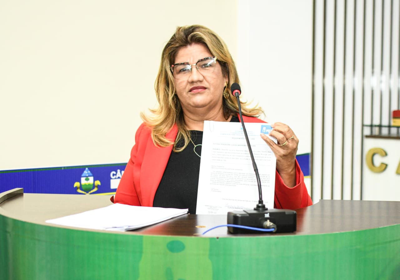 Construção da via de acesso das duas pontes do Beco Bem-Te-Vi é pedido da Vereadora Cláudia Marreira.