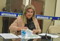 Ponte da esperança: Vereadora Cláudia Marreira solicita retomada de obra essencial à mobilidade no Bairro Vila Nova.