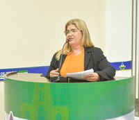 Porto com dignidade: Câmara aprova requerimento de Cláudia Marreira para obra no Abial.