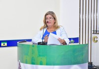 Proposta mira reforço ambiental: sugestão prevê criação de Polícia Administrativa Ambiental em Tefé.